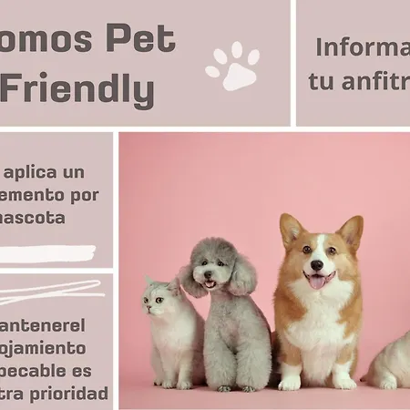 Appartement Antolin Yellow Door Ponferrada