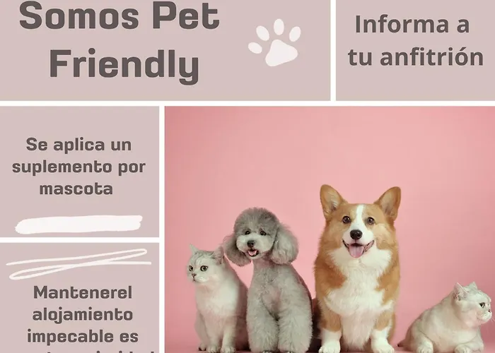 Appartement Antolín Yellow Door Ponferrada